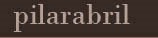 pilarabril.eu